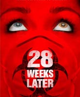 28 Days Later / 28  